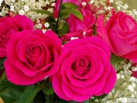 64218Cr - Beth's Mother's Day Roses.jpg